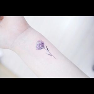 Meet your Posher, Wyldeliz